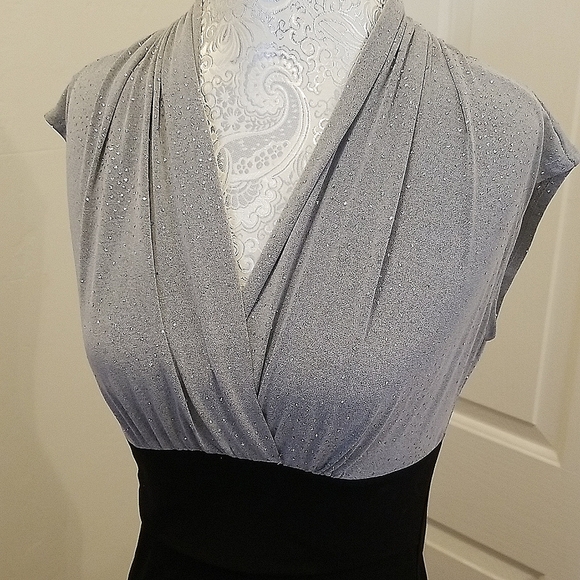 Sleek Fitting Enfocus Dress - Picture 3 of 3